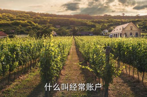 什么是經(jīng)常項(xiàng)目賬戶(hù)，經(jīng)常項(xiàng)目賬戶(hù)和資本項(xiàng)目賬戶(hù)