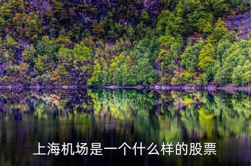 上海機場股票屬于什么股票，上海機場屬于什么行業(yè)的股票
