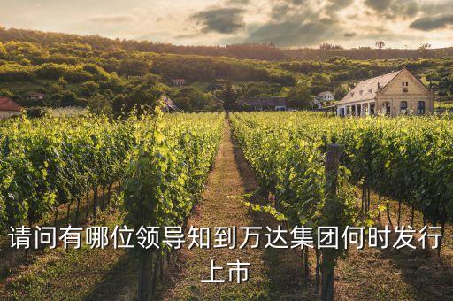 請問有哪位領(lǐng)導(dǎo)知到萬達(dá)集團何時發(fā)行上市