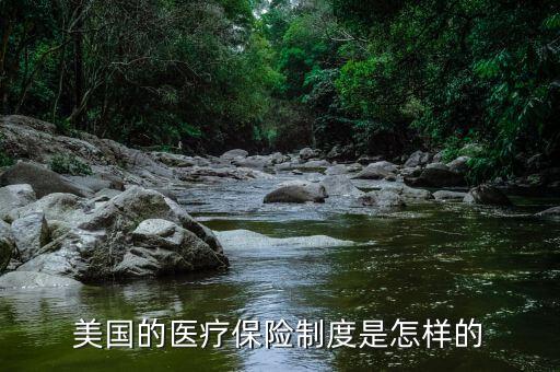 美國(guó)醫(yī)療體系中保險(xiǎn)控制醫(yī)療是指什么，美國(guó)的醫(yī)療保險(xiǎn)制度是怎樣的