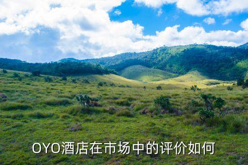 為什么從驢媽媽離職，驢媽媽旅游網(wǎng)怎么樣工資待遇