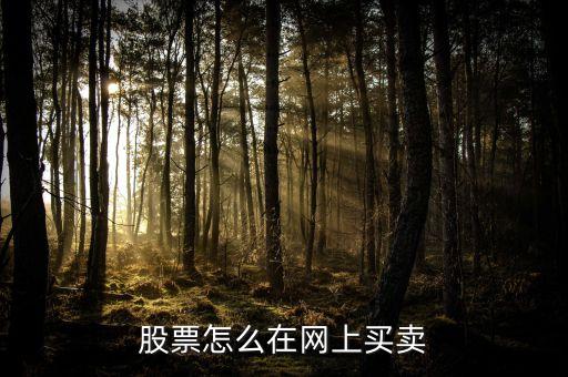 三湘銀行什么開業(yè)，股票網上交易需要什么樣的手續(xù)