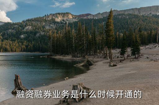 今年融券政策什么時候放開的，融資融券什么時候開始