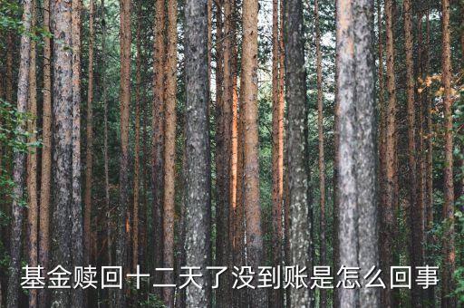 贖回成13天了為什么錢沒到賬，基金贖回成功了 為什么還沒到帳