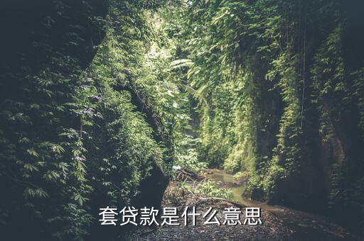 什么是套期，套貸款是什么意思