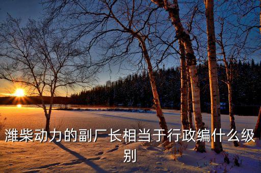 濰柴譚旭光什么級別，濰柴動力股份有限公司董事長是誰