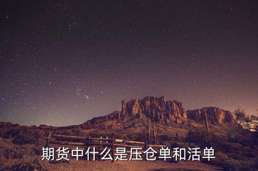 上海期貨交易所標(biāo)準(zhǔn)倉單是什么，期貨中倉單是什么
