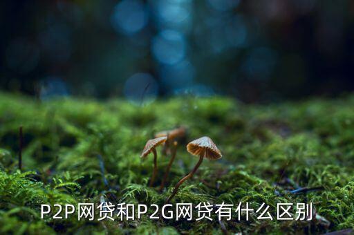 p2g與ppp有什么區(qū)別，P2G是什么意思