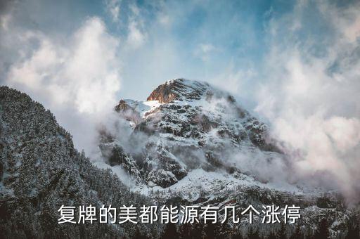 美都能源為什么停牌了，美都能源臨時停牌利好還是壞