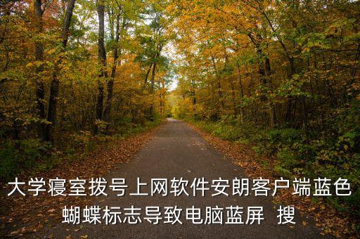 大學(xué)寢室撥號上網(wǎng)軟件安朗客戶端藍色蝴蝶標(biāo)志導(dǎo)致電腦藍屏  搜