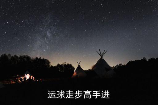 德隆治下的湘火炬戰(zhàn)略不包括什么，德隆治下的湘火炬戰(zhàn)略包括有哪些