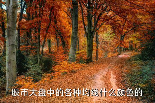 均線是什么顏色，股票的均線是哪一條什么顏色