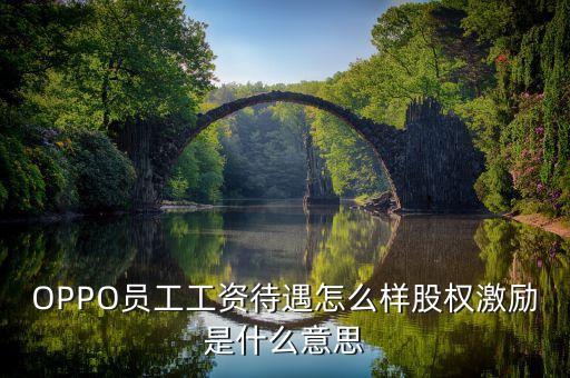 全員持股什么意思，OPPO員工工資待遇怎么樣股權(quán)激勵(lì)是什么意思