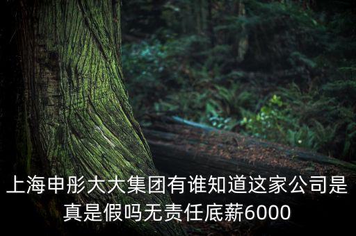 申彤大大集團賺的什么錢發(fā)工資，上海申彤大大集團有誰知道這家公司是真是假嗎無責(zé)任底薪6000