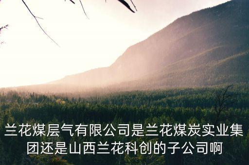 山西蘭花有什么煤層氣公司，山西蘭花煤炭實(shí)業(yè)集團(tuán)有限公司
