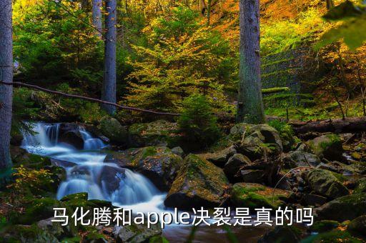 馬化騰為什么不干了，為什么馬化騰做不了中國第一富
