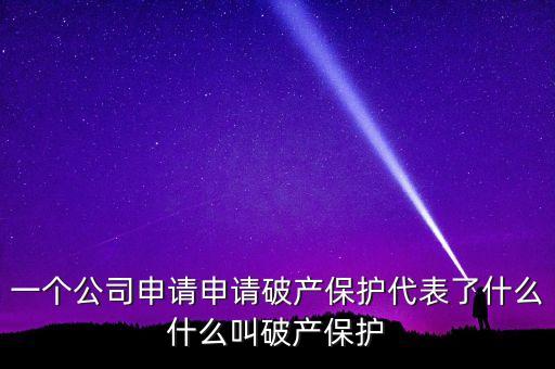 申請(qǐng)破產(chǎn)保護(hù)是什么意思，破產(chǎn)保護(hù)是什么意思