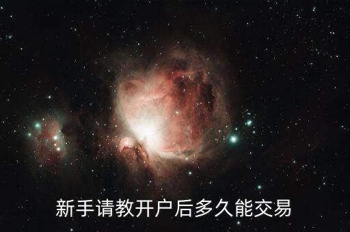 b股開戶什么時候能交易，B股的交易時間