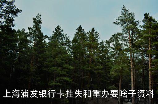 浦發(fā)銀行卡掛失需要什么，上海浦發(fā)銀行卡掛失步驟