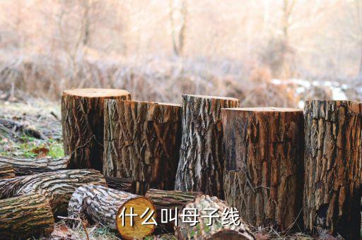 什么是母子變盤線，周四周五兩根k線是母子線從技術(shù)上看是轉(zhuǎn)勢信號嗎