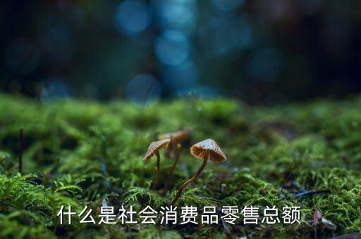 社會(huì)消費(fèi)品零售總額反應(yīng)什么，什么是社會(huì)消費(fèi)品零售總額
