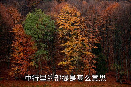 中國銀行部提是什么意思，中國銀行部提是什么意思