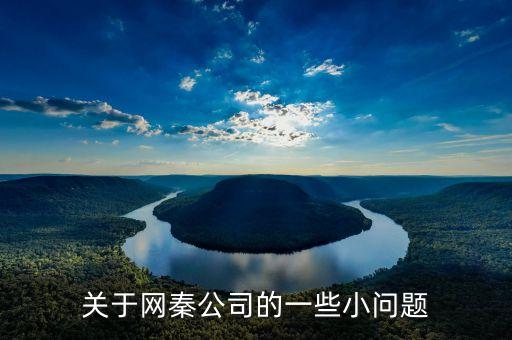 網(wǎng)秦為什么更換獨立審計，網(wǎng)秦到底怎么了