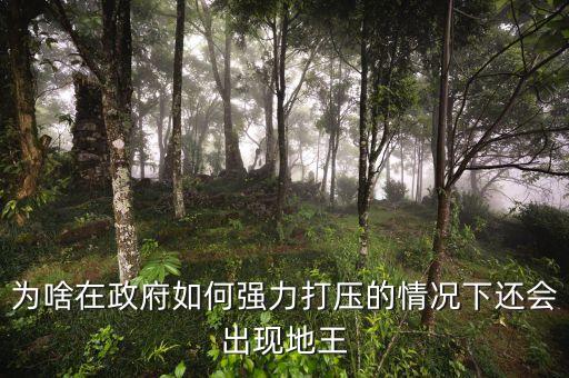 2016年為什么地王頻出，地王頻現傳遞什么信號