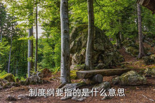 什么是公司綱要，制度綱要指的是什么意思