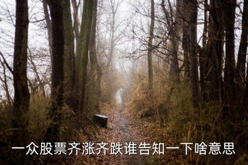 股票量?jī)r(jià)齊跌意味著什么，這幾天大盤量?jī)r(jià)齊跌從技術(shù)角度說(shuō)明什么