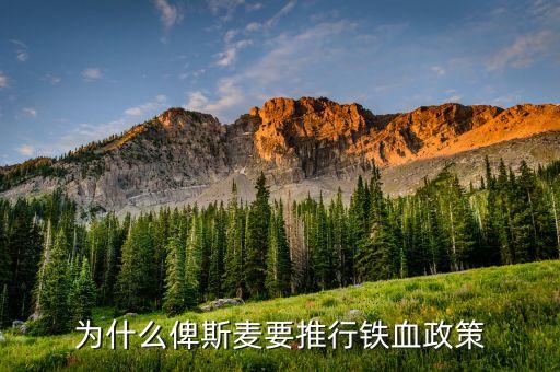 什么是鐵血政策，鐵血政策鐵和血分別指什么