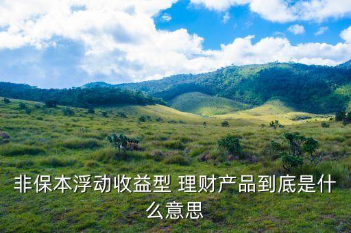 非保本理財(cái)什么意思，理財(cái)產(chǎn)品非保本是什么意思