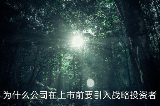 上市為什么要引入風投，為什么公司在上市前要引入戰(zhàn)略投資者