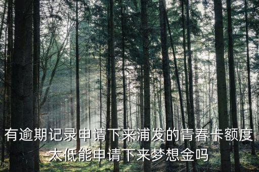 為什么青春卡夢想金要等一個月，浦發(fā)信用卡青春卡的夢想金是開卡就可以申請的還是等一個月