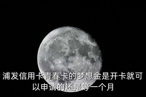 浦發(fā)信用卡青春卡的夢(mèng)想金是開卡就可以申請(qǐng)的還是等一個(gè)月