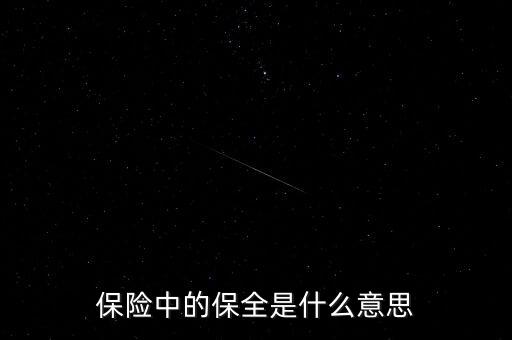 保險保全是什么，保險中的保全是什么意思