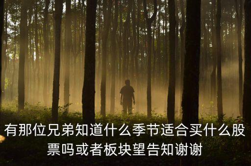 秋天什么股，秋季什么板塊股票好