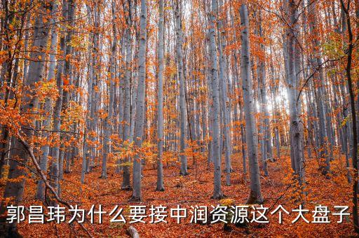 中潤(rùn)資源為什么停牌，000506中潤(rùn)資源停牌多久可以復(fù)牌