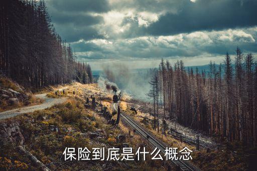 保險(xiǎn)究竟是什么，保險(xiǎn)到底是什么概念