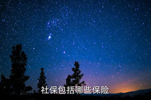 社保保險(xiǎn)保些什么，社會(huì)保險(xiǎn)包括哪些險(xiǎn)