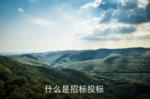 什么叫招標(biāo)率，什么是投標(biāo)利率