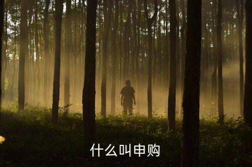 打新申購什么意思，什么叫申購