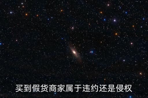 假進口商家承擔什么責任，商家銷售假冒商品市場管理方要承擔多大的管理責任所在經(jīng)營地的