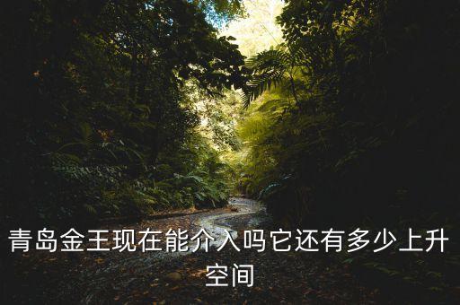 2015青島金王什么概念，青島金王現(xiàn)在能介入嗎它還有多少上升空間