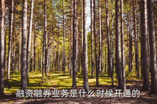 融資融券業(yè)務(wù)什么時候開始的，融資融券什么時候開始