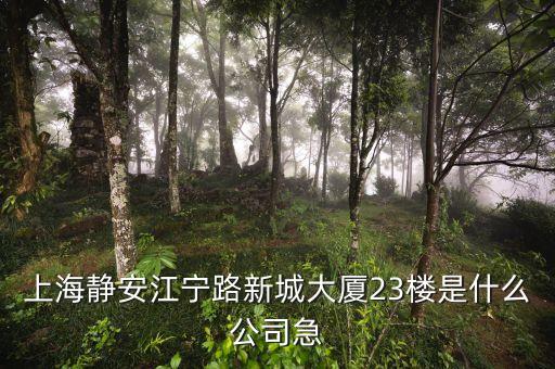 上海眾城大廈第23層是什么，上海浦東新區(qū)東方路818號眾城大廈1604室是什么公司啊