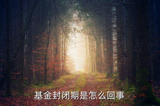 封閉式基金為什么要封閉，為什么認購基金要封閉期封閉期是3個月內(nèi)不得提現(xiàn)