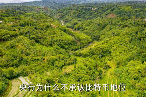 為什么中央不承認(rèn)比特，中美為什么不承認(rèn)比特幣的合法性