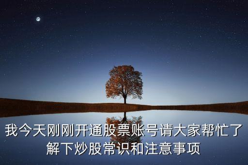主力羅盤是什么意思，新手如何炒股