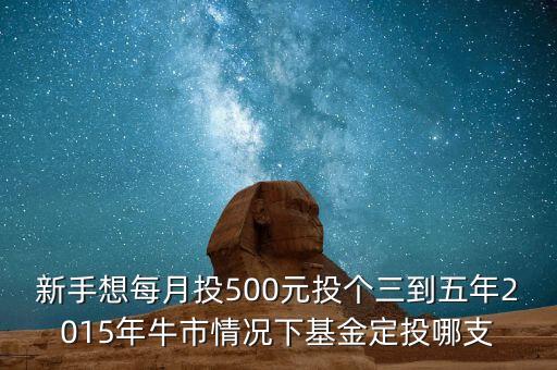 2015年新手買(mǎi)什么基金好，2015買(mǎi)什么基金比較好